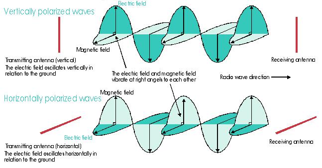 Figure 6 Vertical & Horizontal Polarisation of Antenna Electric Fields